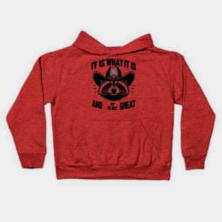 It Is What It Is And It Is Not Great Funny Raccoon sarcastic Kids Hoodie